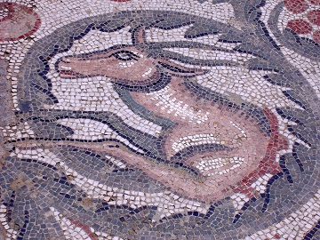 Foto di particolare di mosaico piazza Armerina